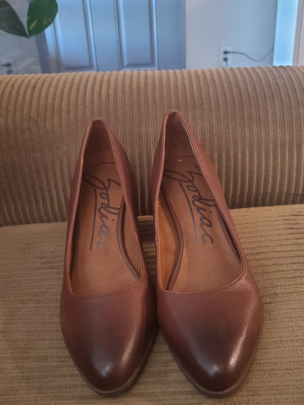 Zodiac Women's Brown Leather Pointed-Toe Heels